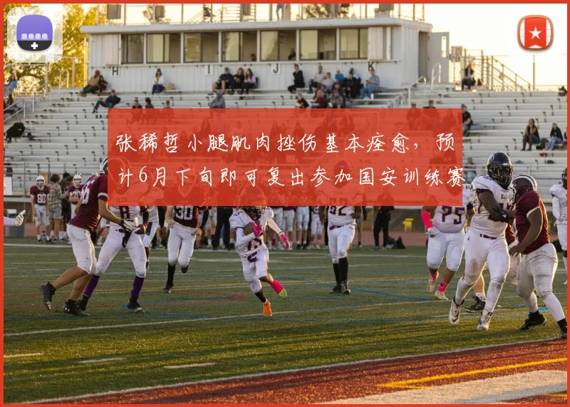 张稀哲小腿肌肉挫伤基本痊愈,预计6月下旬即可复出参加国安训练赛